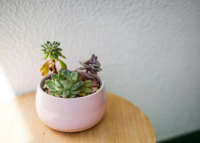 Apartment Cantinho Do Mar Portimao